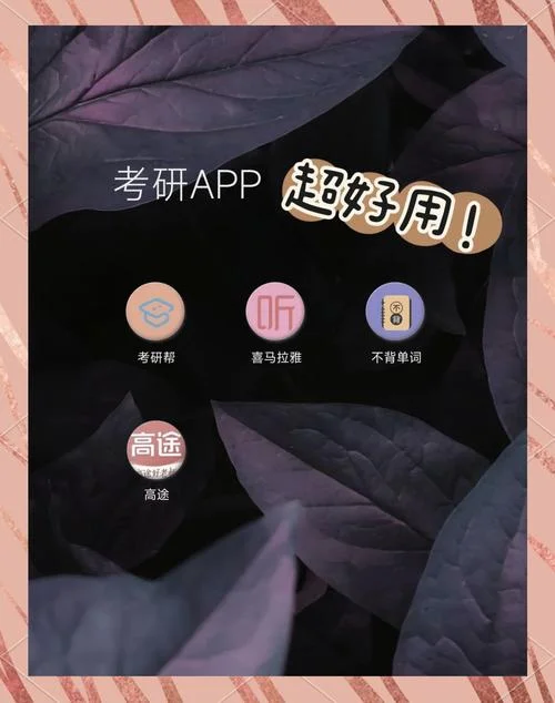 医学生考研英语app-医学生考研英语神器
