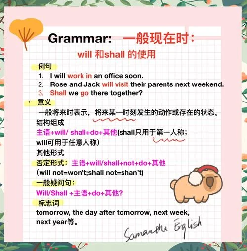 将来 用英语怎么说_1