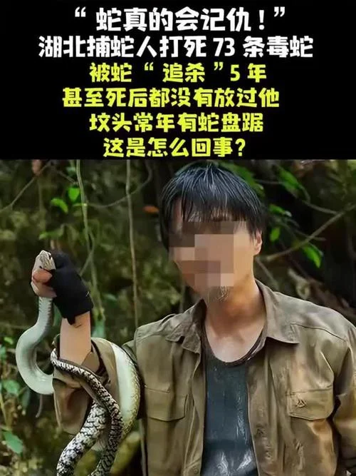 做梦被蛇追杀-梦见蛇追