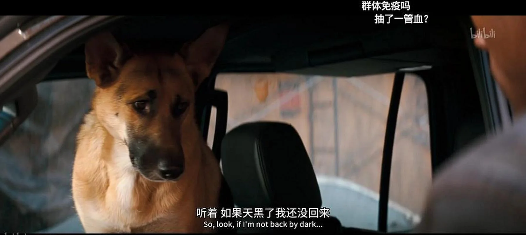 为什么别人说我是怪物_2