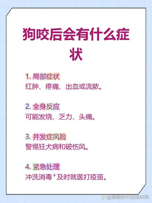 做梦被狗咬了咋回事_2