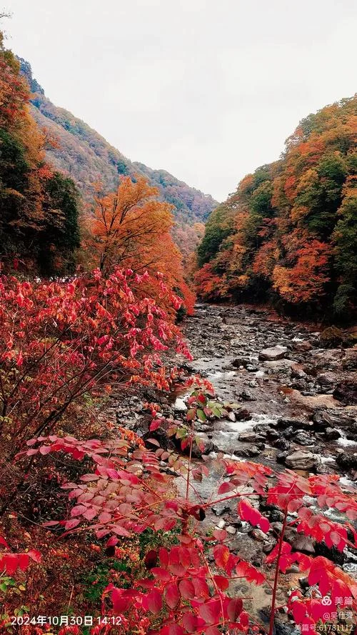 米仓山景点_2