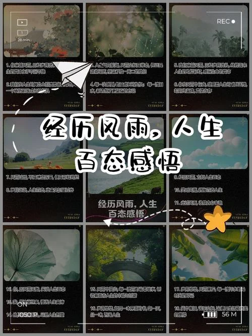 经历风雨后的人生感悟_1