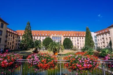 德国弗莱堡大学学科-德国弗莱堡大学学科