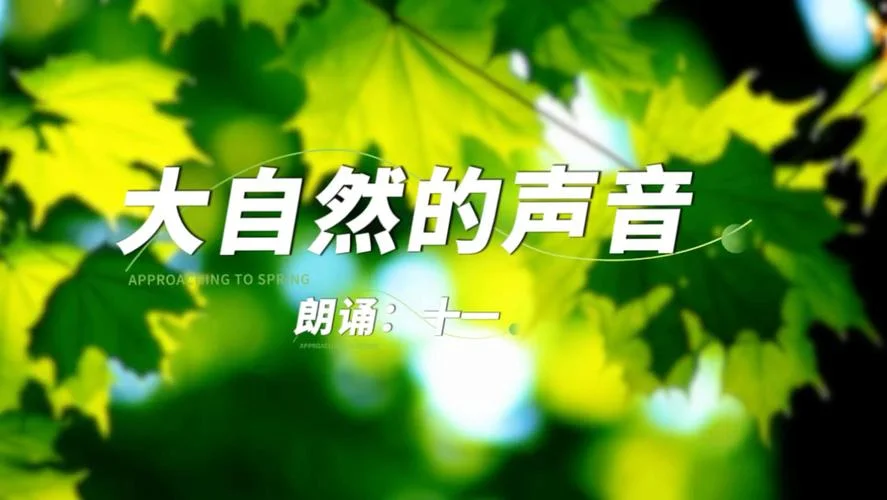 自然的声音的作者是谁_1