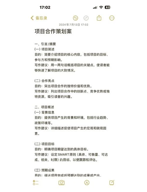 系统开发项目计划书_1