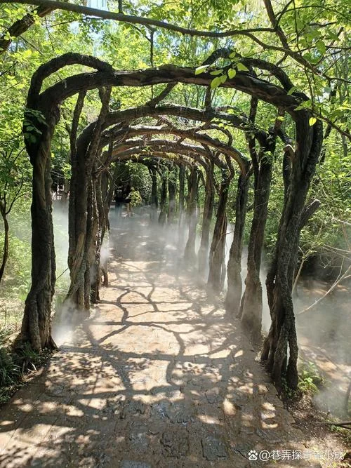 附近景点好玩的地方-附近好玩景点