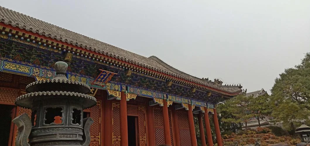 颐和园读后感悟_2
