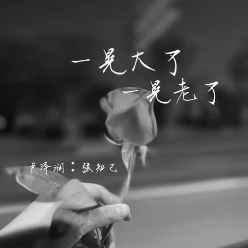 一晃就老了深度感悟_1