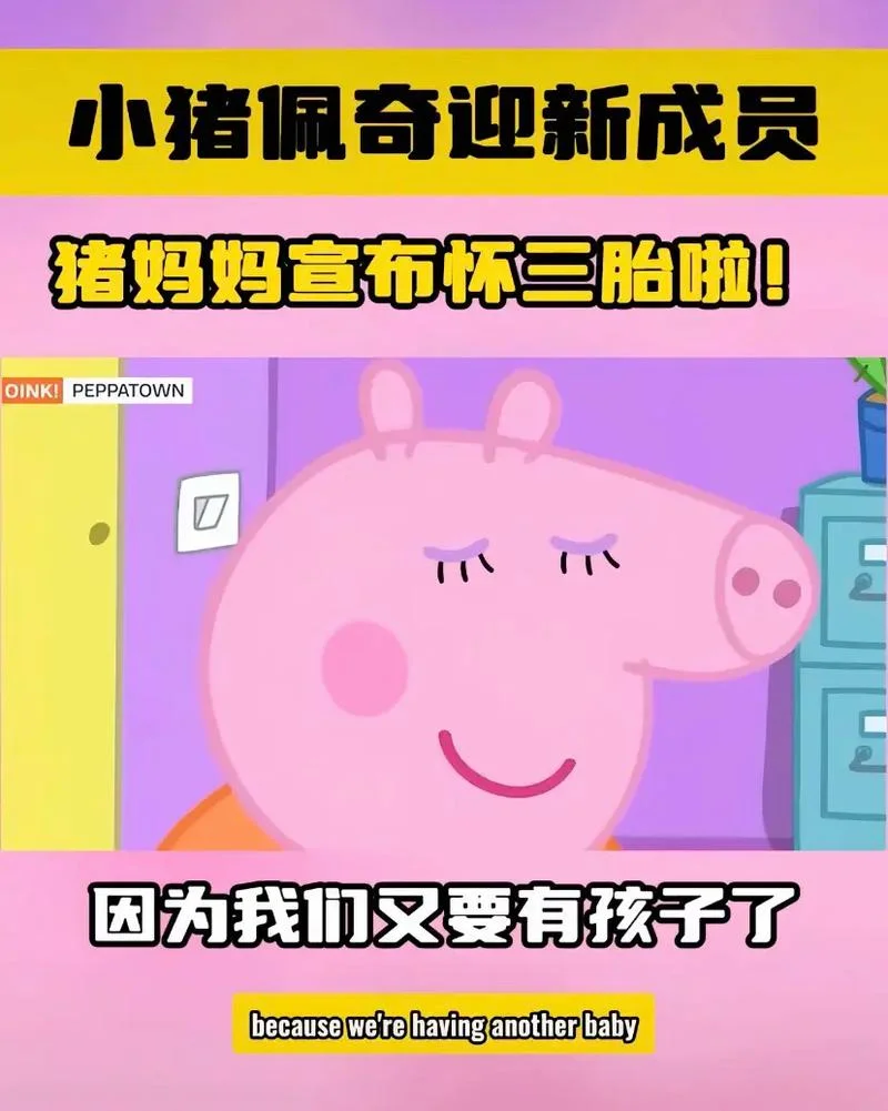 想生个猪宝宝几月怀孕_2
