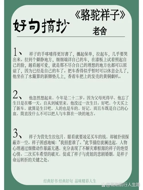 骆驼祥子的好句摘抄及感悟-骆驼祥子好句摘抄感悟