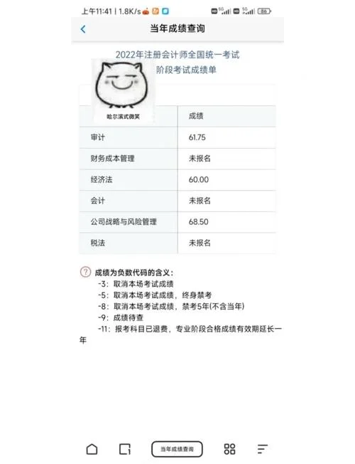 注册会计师考试什么时候公布成绩_2