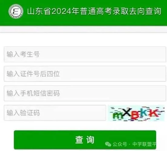 山东高考录取查询入口官网_1