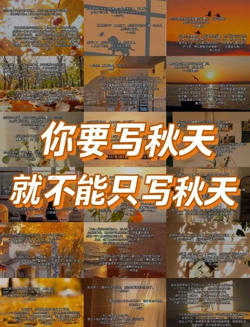 深秋的心灵感悟-深秋心灵感悟