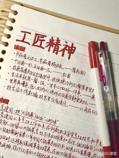 匠人精神读后感范文-匠人精神读后感