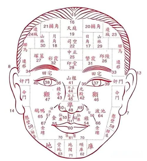 你看看这个人的面相_1
