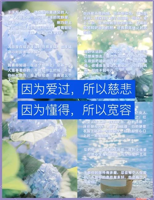 经典人生爱情感悟句子_1