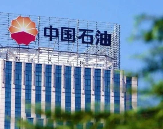 石油公司是什么编制_1