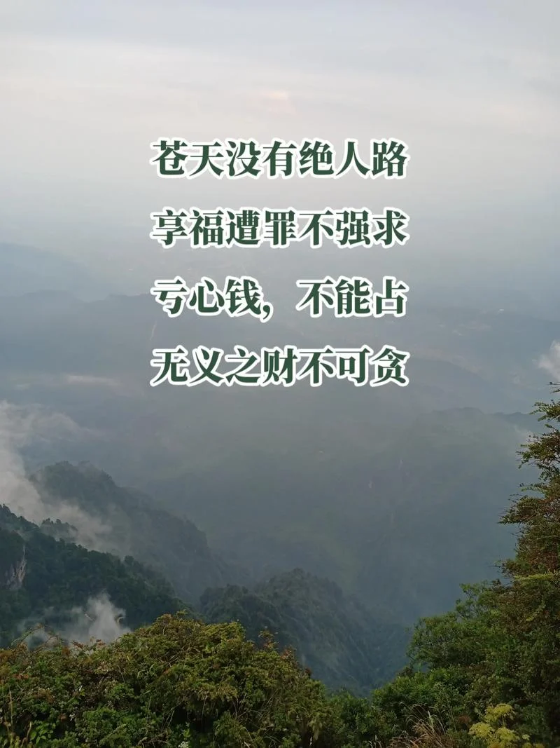 慈不养兵出自哪里_2