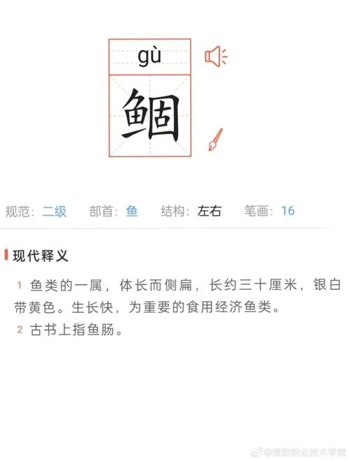 有乜是什么意思_1