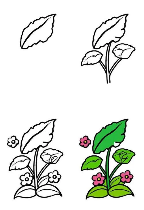 植物简笔画图片_1