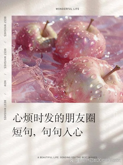 久违了的下一句话_1