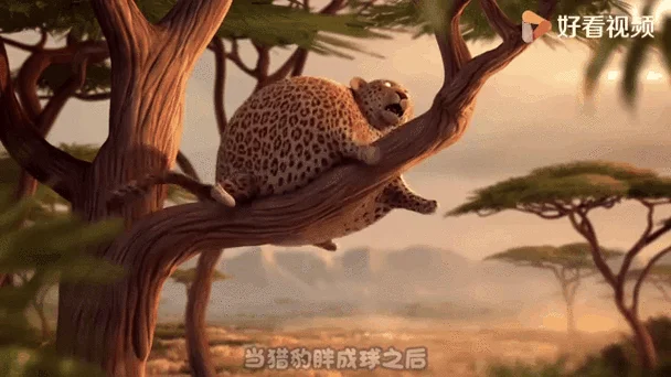 胖动物动画片叫什么名字_1