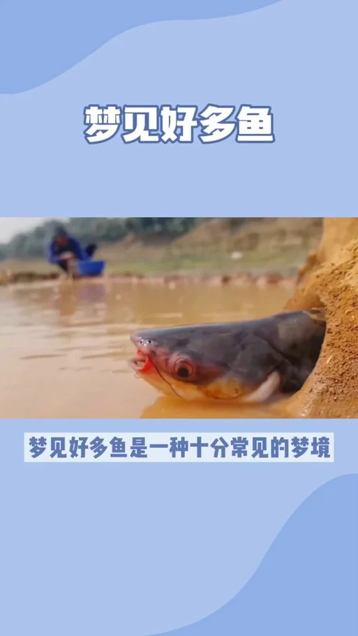 梦见鱼 水里游周公解梦_2
