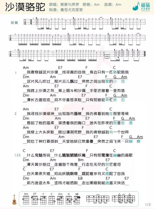 沙漠骆驼这首歌的感悟-沙漠骆驼感悟