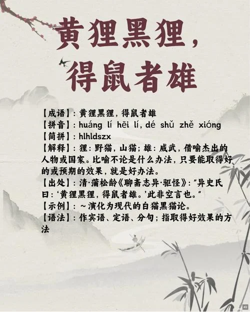 白猫和黑猫告诉我们什么道理-白猫黑猫讲道理