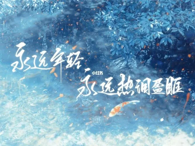 永远热泪盈眶出自哪里_1
