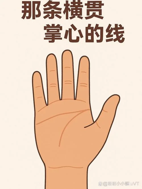 断掌手相学_1