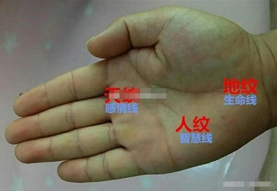 手相贵人纹_1