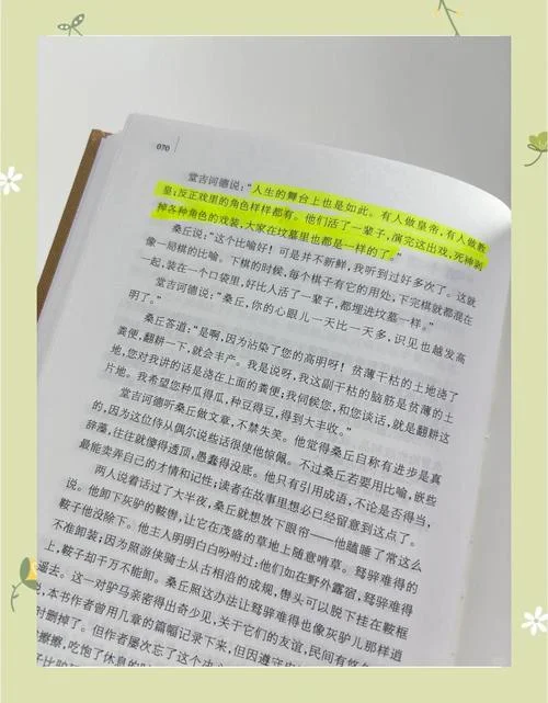 堂吉诃德读后感450字_1