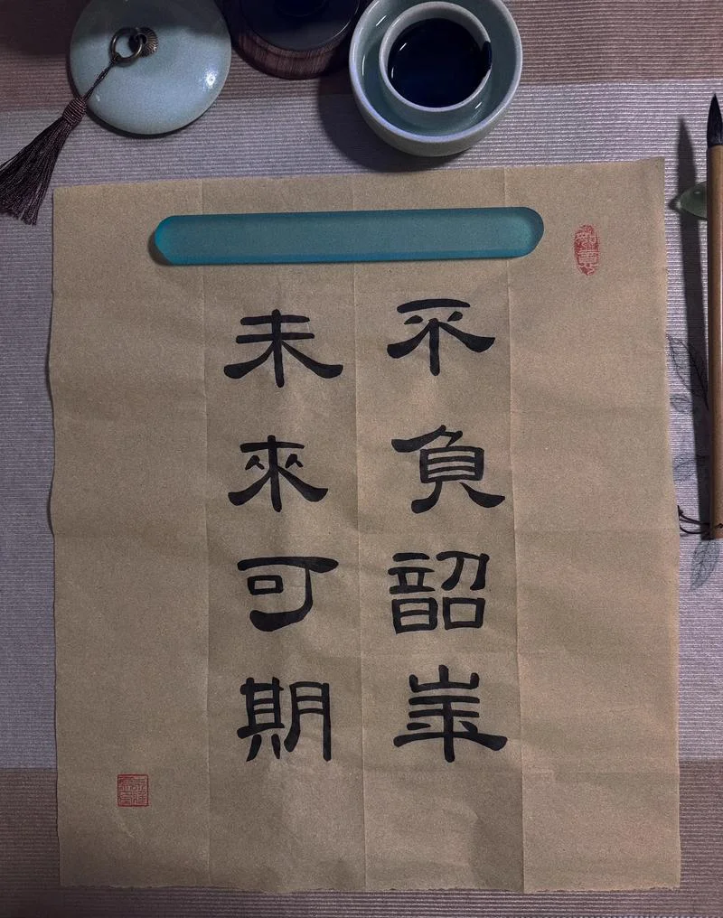 莫负韶华出自哪里_1
