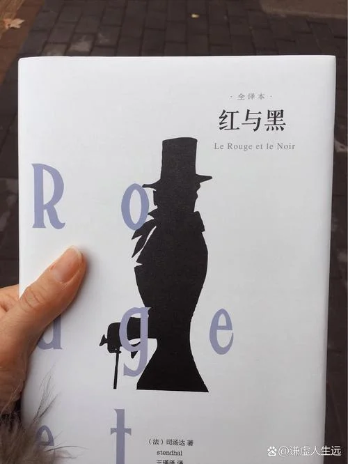红与黑的读后感_2