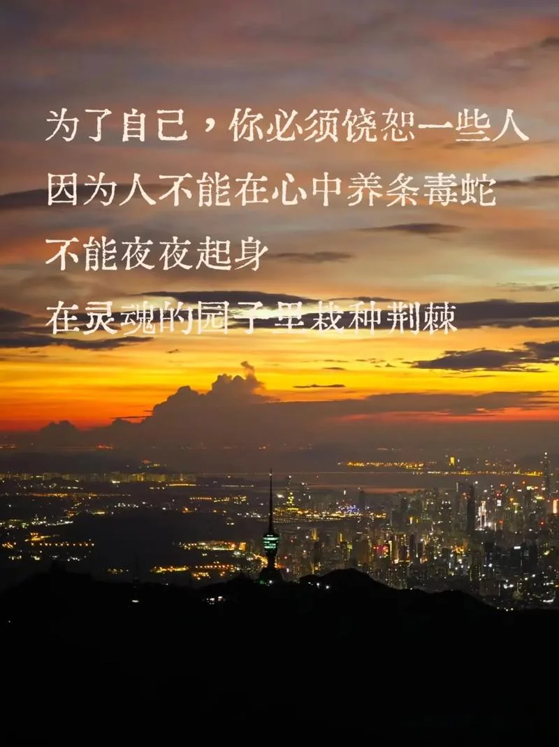 忘记仇恨感悟_1