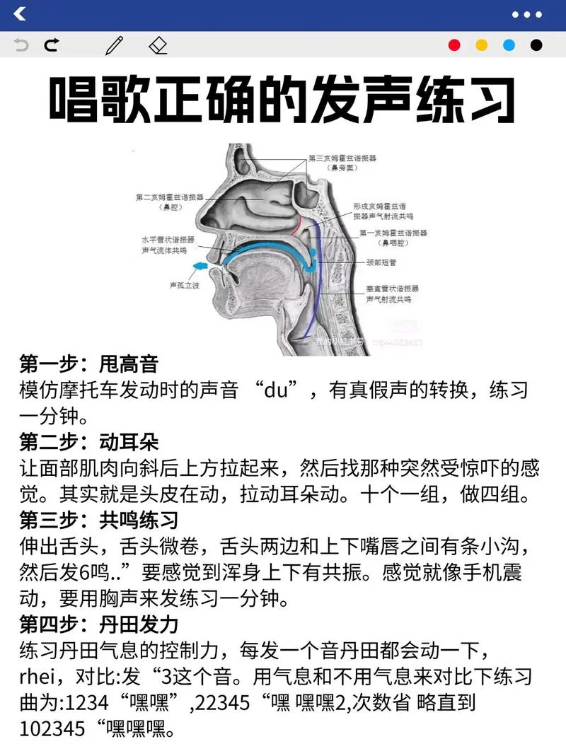 学唱歌应该怎么学-学唱歌的正确方法