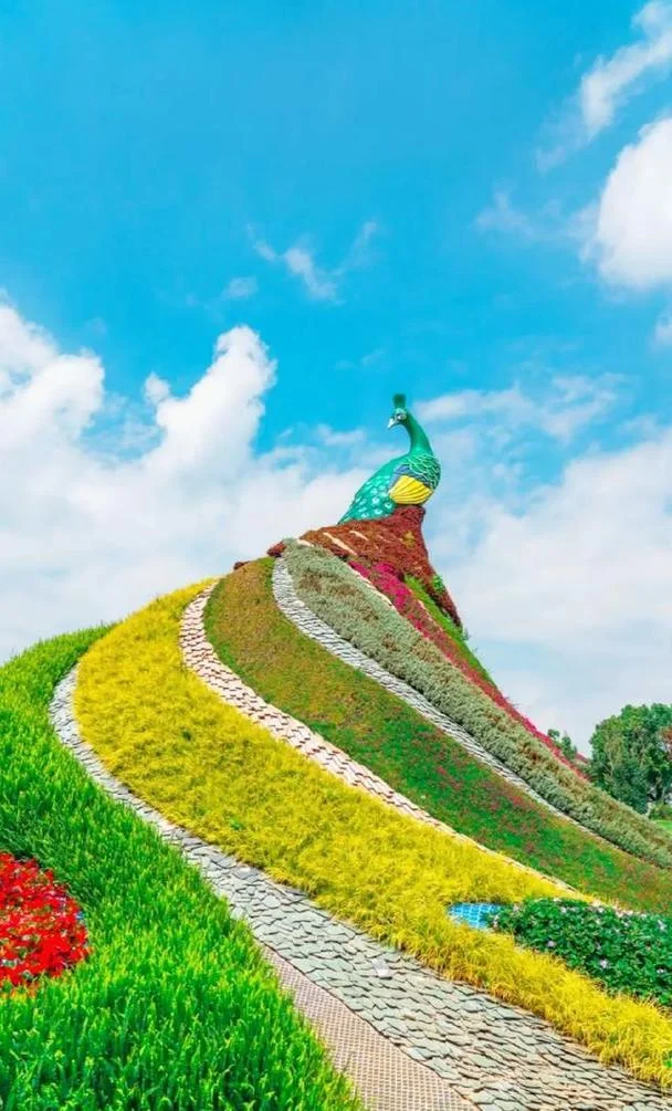 推荐昆明景点_2