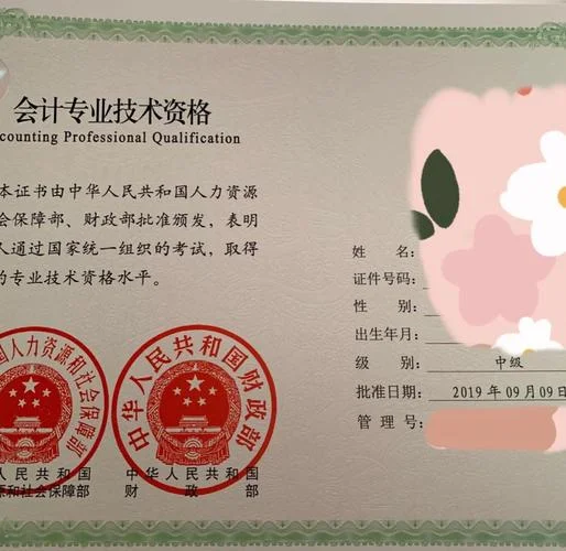 高级会计师考试-高级会计师考试