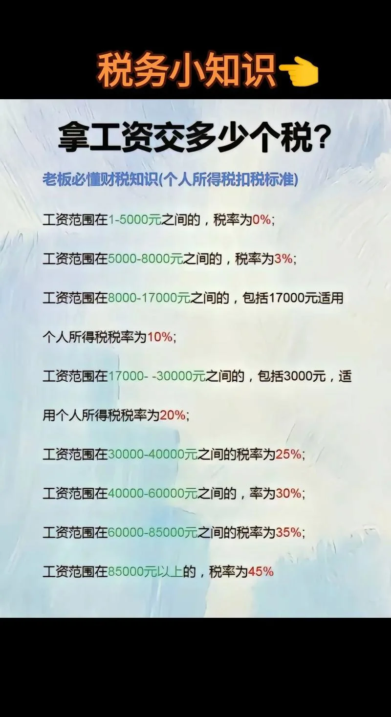 如何查自己的个人所得税_2