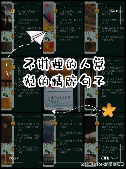 理不辩不明上一句_2