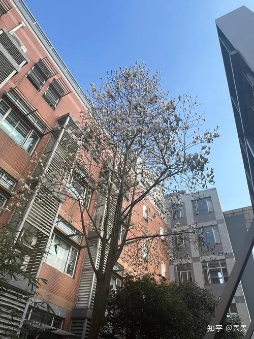 上海张江集团中学_1