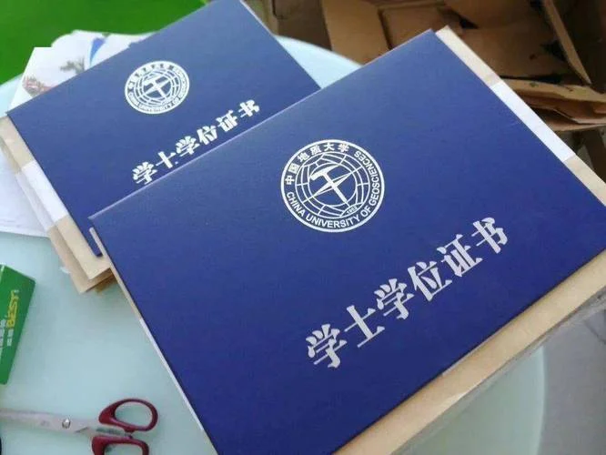 本科学位证书编号查询_1