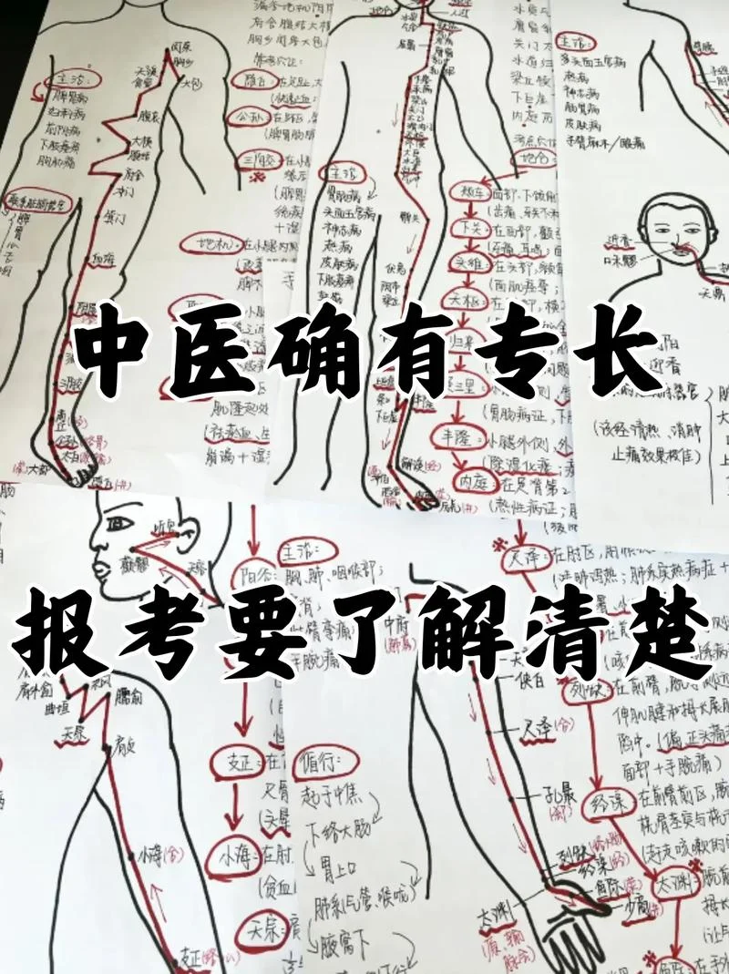 师承确有专长报考条件_1