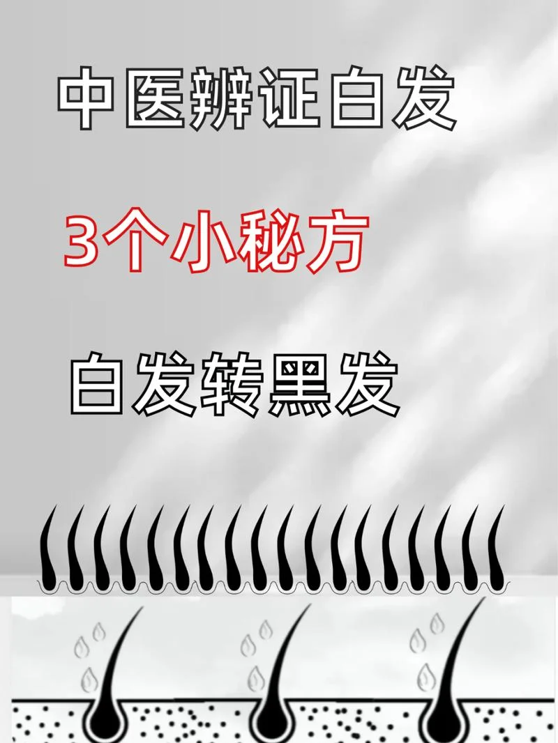 白发中医叫什么_2