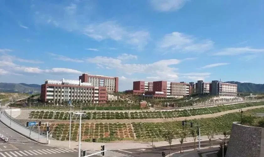 汝州市阳光国际成绩单_1
