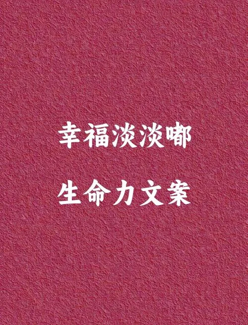 幸福感悟文案_1