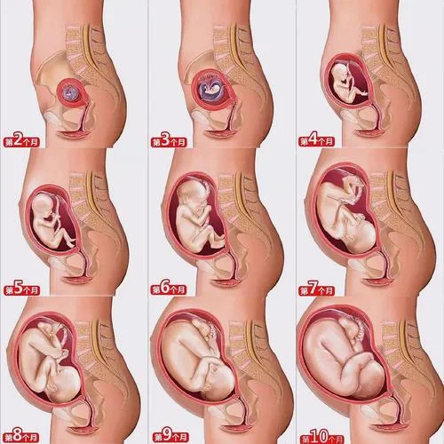 孕妇梦见自己顺产_1