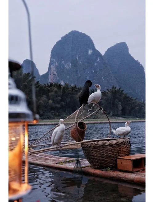 深圳到阳朔多少公里_1
